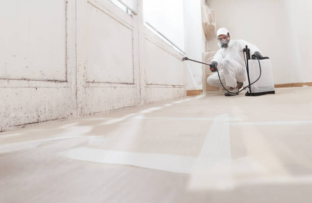 24/7 Emergency Crawl Space Mold Remediation experts in Round Hill, VA