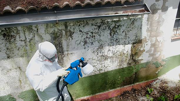 Top rated local Crawl Space Mold Remediation specialists in Round Hill, VA